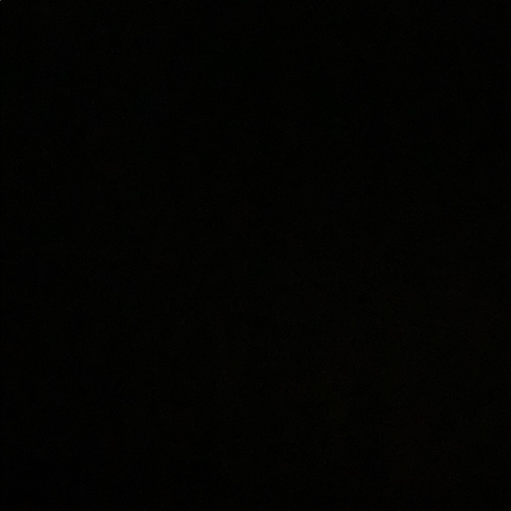 Meet your Posher, Lily